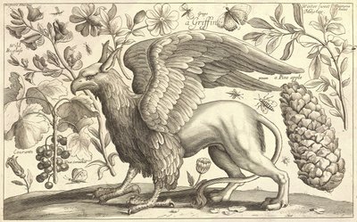 A Griffin by Wenceslaus Hollar